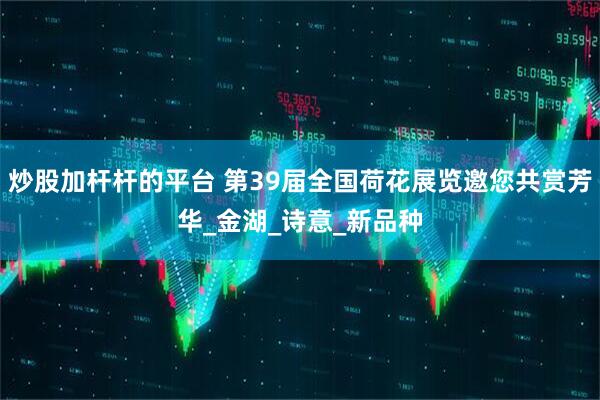炒股加杆杆的平台 第39届全国荷花展览邀您共赏芳华_金湖_诗意_新品种