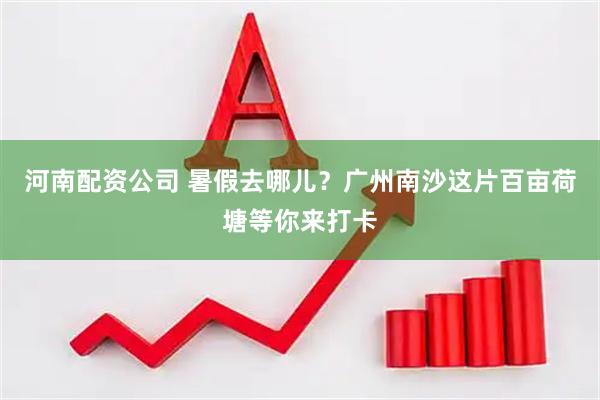 河南配资公司 暑假去哪儿？广州南沙这片百亩荷塘等你来打卡